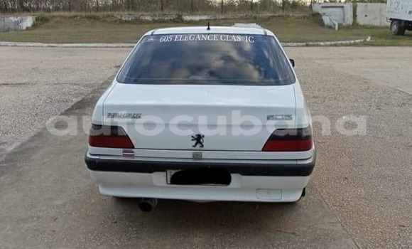 Comprar Usados Carro Peugeot 605 Blanco en Alacranes en Matanzas Comprar Usados Carro Peugeot 605 Blanco en Alacranes en Matanzas
