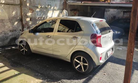 Comprar Usados Carro Kia Picanto Otro en Alacranes en Matanzas Comprar Usados Carro Kia Picanto Otro en Alacranes en Matanzas