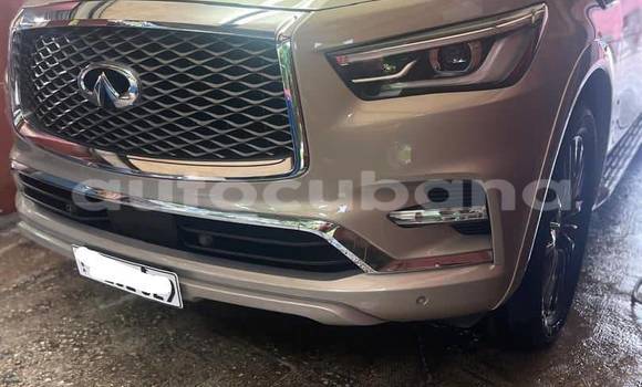 Comprar Usados Carro Infiniti QX80 Otro en Alacranes en Matanzas Comprar Usados Carro Infiniti QX80 Otro en Alacranes en Matanzas