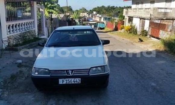 Buy Used Peugeot 405 Other Car in Campechuela in Granma