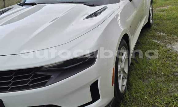 Comprar Usados Carro Chevrolet Camaro Blanco en Alacranes en Matanzas Comprar Usados Carro Chevrolet Camaro Blanco en Alacranes en Matanzas