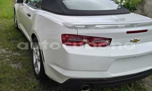Comprar Usados Carro Chevrolet Camaro Blanco en Alacranes en Matanzas Comprar Usados Carro Chevrolet Camaro Blanco en Alacranes en Matanzas
