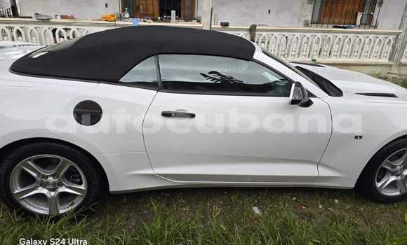 Comprar Usados Carro Chevrolet Camaro Blanco en Alacranes en Matanzas Comprar Usados Carro Chevrolet Camaro Blanco en Alacranes en Matanzas