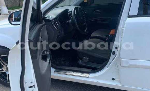 Comprar Usados Carro Kia Rio Blanco en Alacranes en Matanzas Comprar Usados Carro Kia Rio Blanco en Alacranes en Matanzas