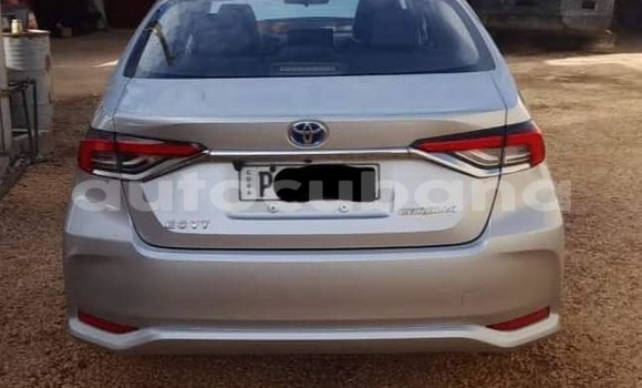 Comprar Usados Carro Toyota Corolla Otro en Antilla en Holguin Comprar Usados Carro Toyota Corolla Otro en Antilla en Holguin