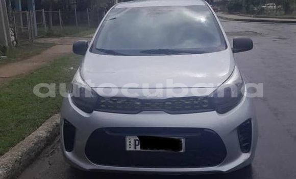 Comprar Usados Carro Kia Picanto Otro en Alacranes en Matanzas Comprar Usados Carro Kia Picanto Otro en Alacranes en Matanzas