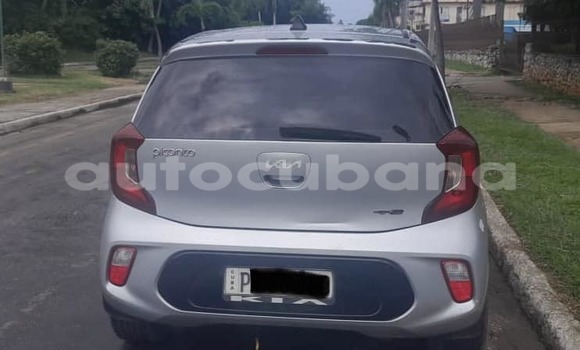 Comprar Usados Carro Kia Picanto Otro en Alacranes en Matanzas Comprar Usados Carro Kia Picanto Otro en Alacranes en Matanzas