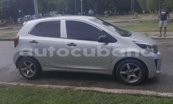 Comprar Usados Carro Kia Picanto Otro en Alacranes en Matanzas Comprar Usados Carro Kia Picanto Otro en Alacranes en Matanzas